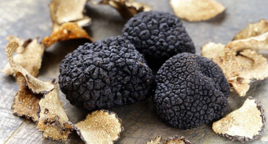 tartufo nero acqualagna