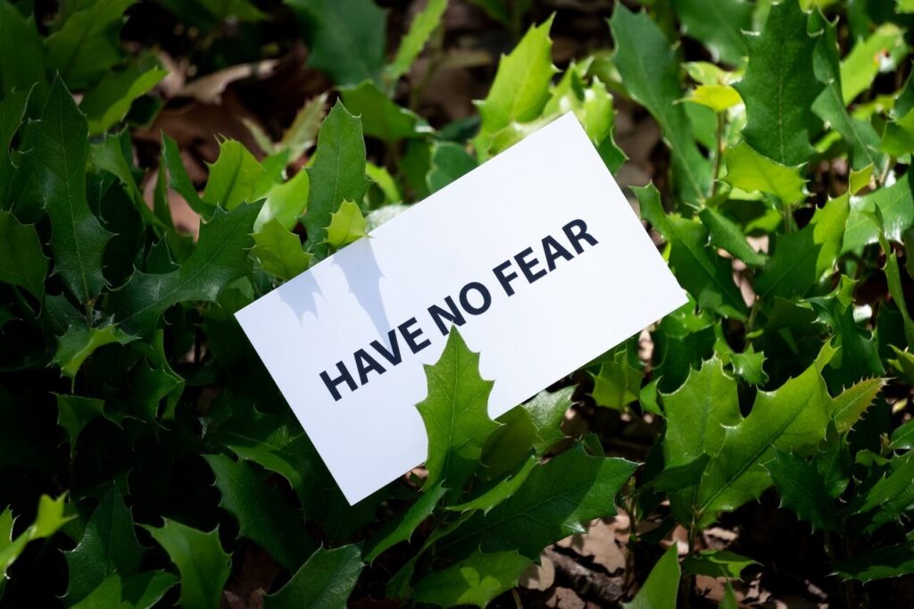 Positive food: Have no fear