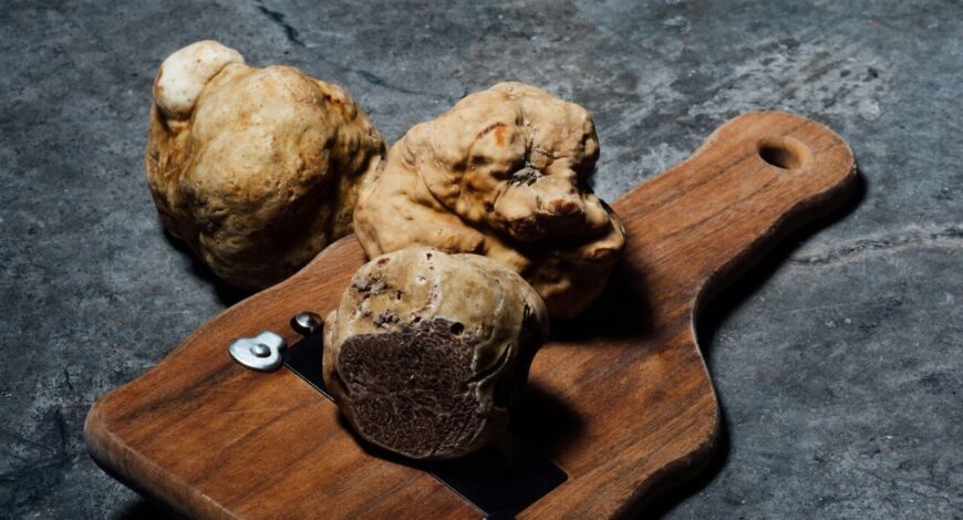 Tartufo nero marchigiano