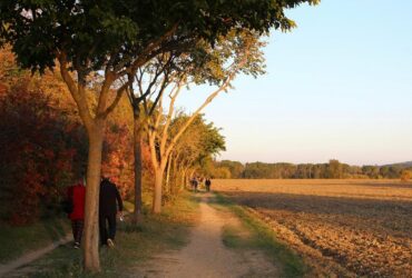 Cibo tipico nelle Marche in autunno